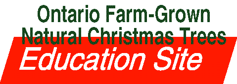 CTFO Education Site